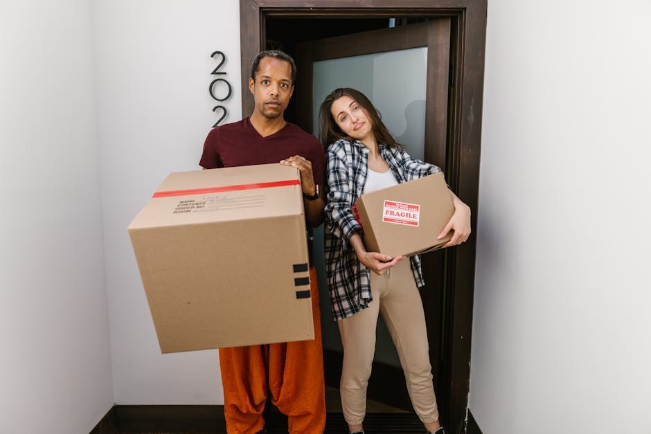 A professional removals technician from Paddington Removals is inside a bright, minimally furnished room with large arched windows, loading two cardboard boxes onto a vintage armchair that a seated wo